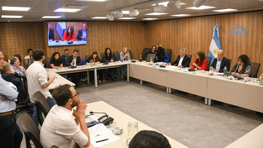 Dictamen en la ley que estimula la participación privada en el financiamiento de la cultura