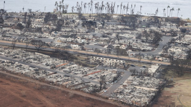 Tragedia en un archipiélago de Hawái: al menos 55 personas murieron tras los incendios