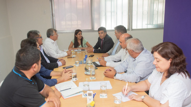 La Comisión de Asuntos Constitucionales avanza en el análisis del proyecto de las PASO