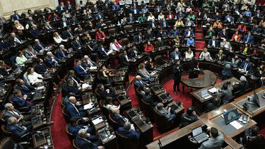 La Cámara de Diputados está en condiciones de tratar la ley de Humedales.