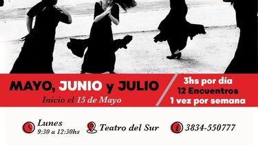 Comienza el taller El animal que estoy SI(nti)ENDO
