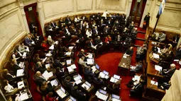 El Senado trata la eliminación de límites para la compra de tierras por extranjeros