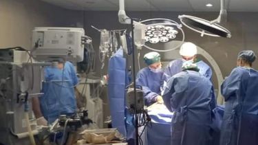 se realizo una ablacion multiorganica en catamarca
