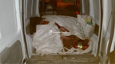 tinogasta: decomisan mas de 180 kilos de carne