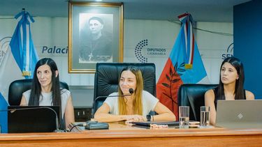 Advierten que el presupuesto 2025 es austero y se espera la reactivación económica