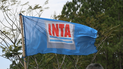INTA: el Gobierno lanza un nuevo plan de retiros voluntarios para reducir la planta INTA: el Gobierno lanza un nuevo plan de retiros voluntarios para reducir la planta