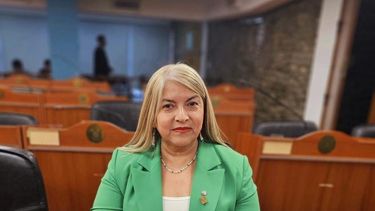 Trece sectores se inscribieron para participar en la elección de la UCR