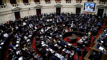 diputados ratifico el veto de javier milei a la reforma jubilatoria