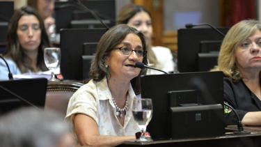 Corpacci sobre la represión en la marcha de los jubilados: Está hecha para amedrentar, para provocar