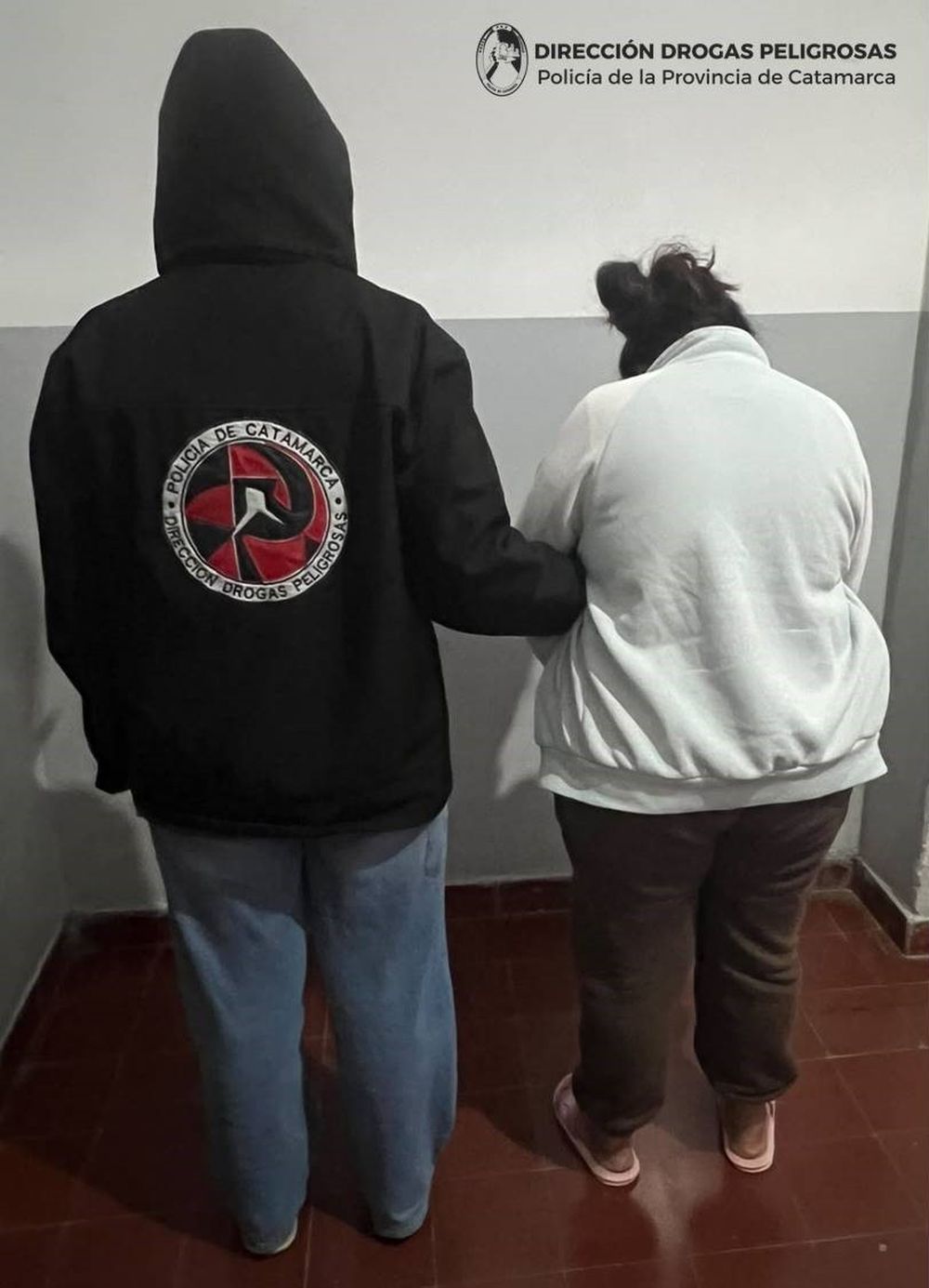 DIRECCIÓN DROGAS PELIGROSAS (1)