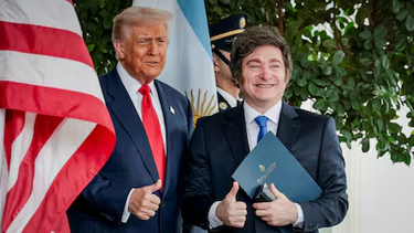 javier milei respaldara a donald trump y al operativo en venezuela durante su discurso en davos