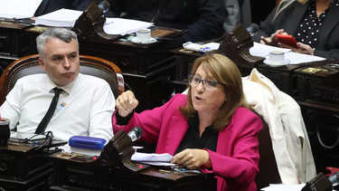 Mónica Fein presidirá la comisión.&nbsp;