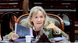Palladino a Adorni: Parece que estamos en una realidad paralela Palladino a Adorni: Parece que estamos en una realidad paralela