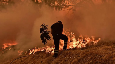 el oeste de estados unidos, azotado por incendios forestales