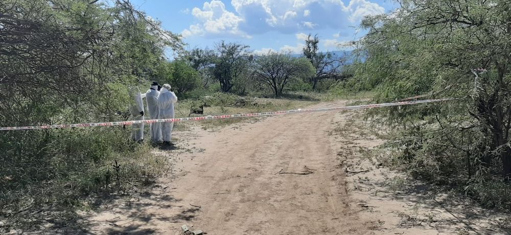 Escena del crimen. Un descampado utilizado como villa cariño.