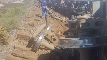 Descarriló un tren cargado con granos