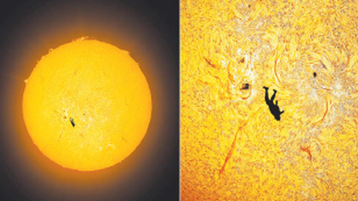 Así se capturó la extraordinaria fotografía nombrada “La caída de Ícaro”