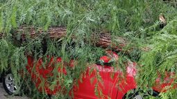 Foto: Informate Ciudad Foto: Informate Ciudad