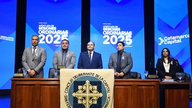 La motosierra no es solución: nosotros creemos en construir