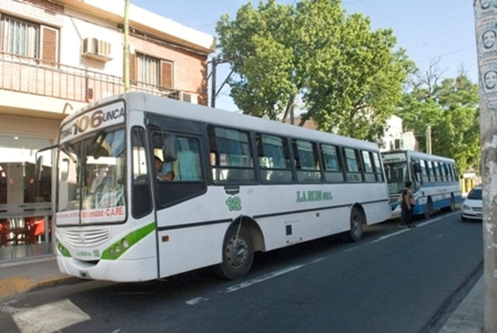 156531.jpg