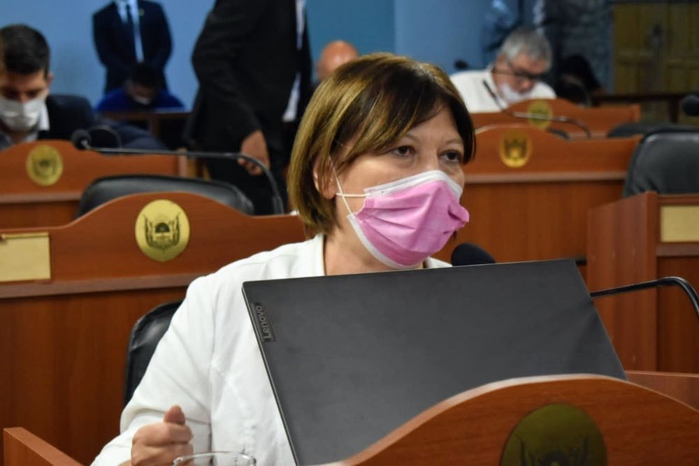 Autora. Adriana Díaz (FT) plantea la posibilidad de prevenir conflictos.