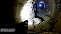 Una banda quiso cometer el robo del siglo y le salió mal: 11 detenidos Una banda quiso cometer el robo del siglo y le salió mal: 11 detenidos