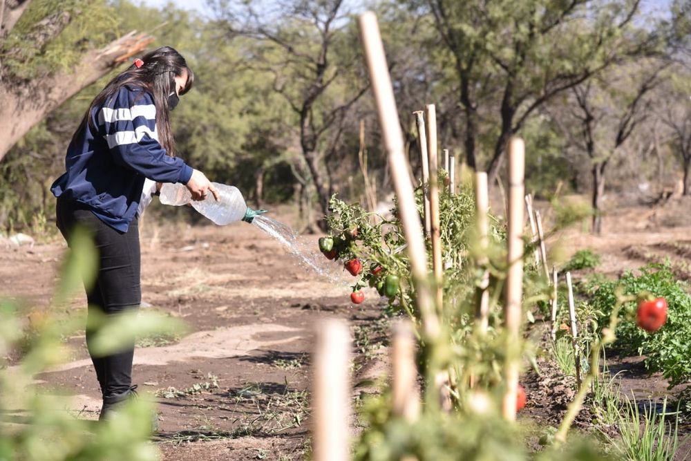 Mujer Rural. El programa involucra a decenas de mujeres de Valle Viejo.&nbsp;