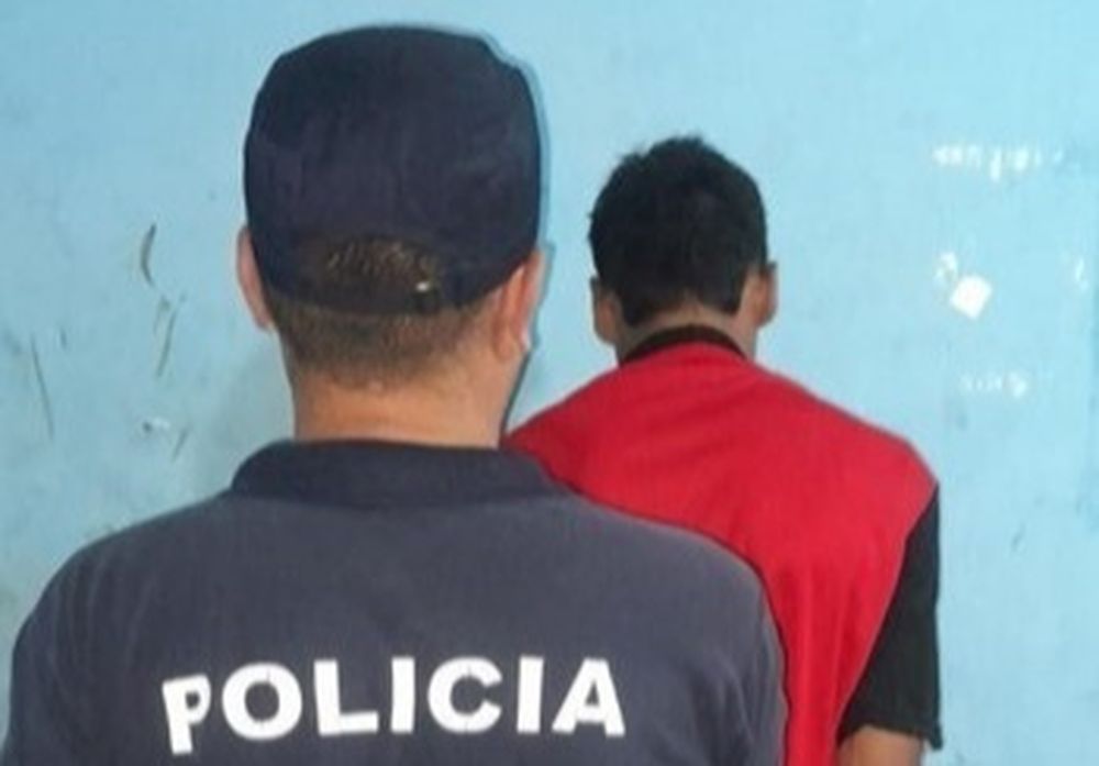 La Policía detuvo al joven señalado por un arrebato en el norte de la ciudad.