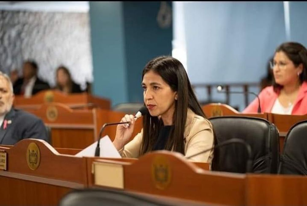 La senadora Virgina del Arco apoya la fórmula de Raúl Jalil y Rubén Dusso.&nbsp;