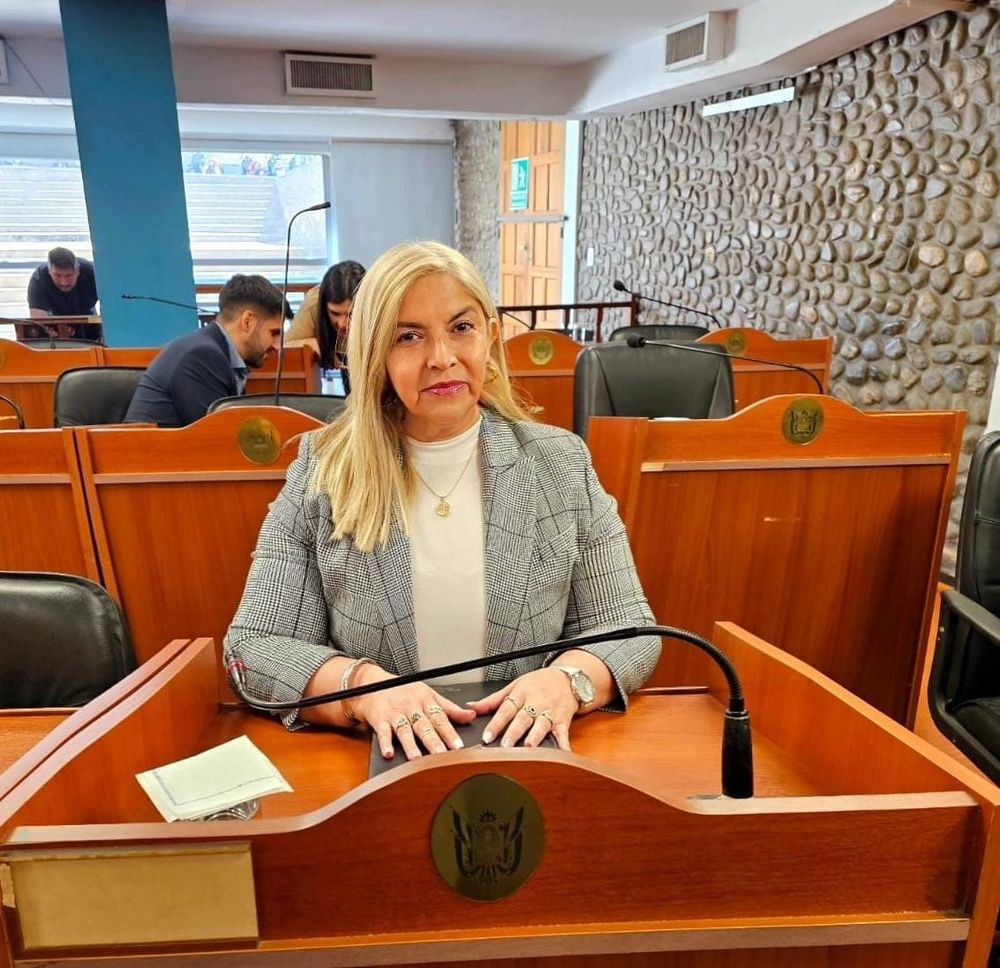Diputada. Cristina Gómez.&nbsp;
