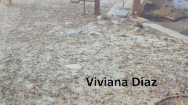 viviana diaz presenta su libro mi vida sin ti en andalgala