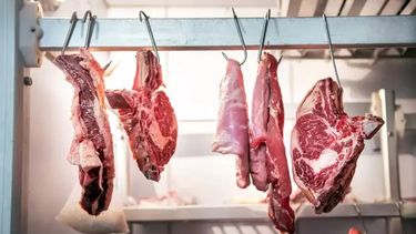 El precio de la carne aumento un 15% y no descartan más subas antes de las fiestas El precio de la carne aumento un 15% y no descartan más subas antes de las fiestas