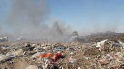 Cada vez más personas van a la planta de tratamiento a buscar comida en la basura