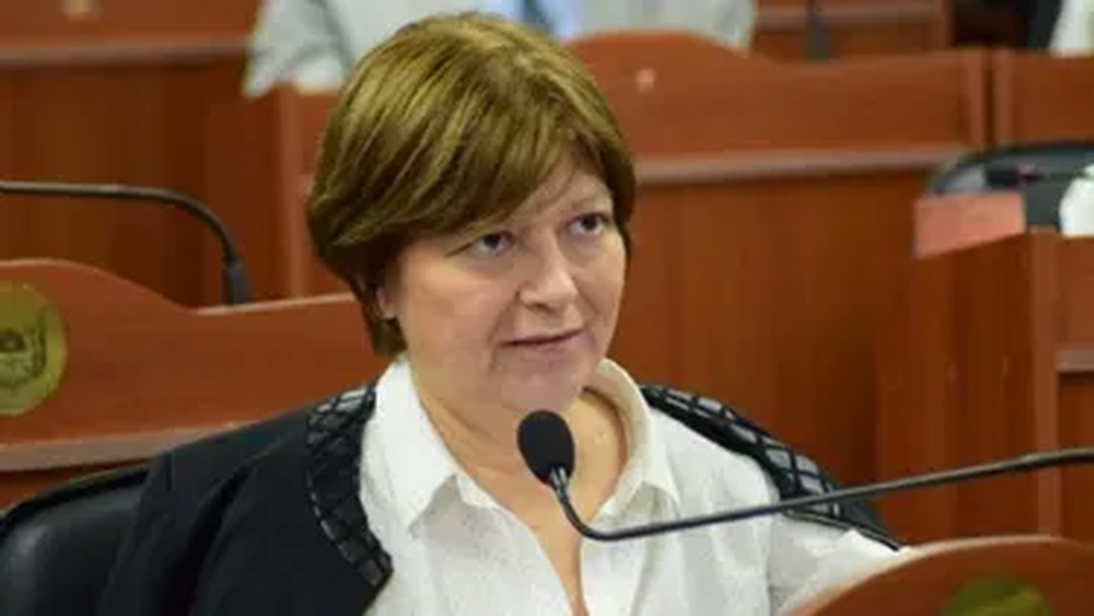 Diputada Adriana Díaz