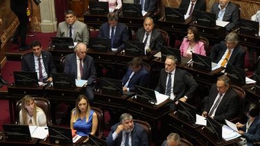 El Senado convirtió en ley la suspensión de las PASO