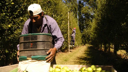 CAME celebró la prórroga que permite compatibilizar planes sociales con trabajo rural registrado CAME celebró la prórroga que permite compatibilizar planes sociales con trabajo rural registrado