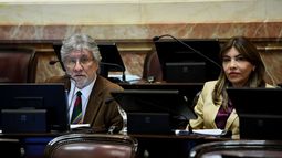El Senado dio media sanción al proyecto para dividir en Salas la Cámara Federal de Tucumán