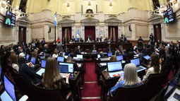 El Senado convirtió en ley la baja de la edad de imputabilidad El Senado convirtió en ley la baja de la edad de imputabilidad