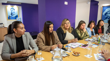 Ajustan detalles del proyecto de Ley de Salud Mental antes de su paso a Diputados