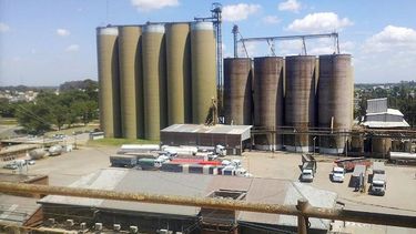 Molinos Cañuelas recibió fuertes multas por cartelización.
