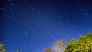 Se destruirán 40 de los 49 satélites de Elon Musk