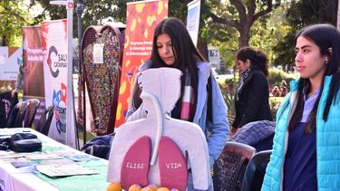 Actividades por el Día Mundial Sin Tabaco