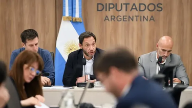 la comision investigadora $libra advierte que los hechos son compatibles con una estafa