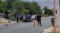 Aprehendieron al dueño del animal que produjo un siniestro vial fatal
