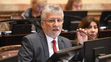 guillermo andrada: voto contra del veto porque defiendo a mi provincia
