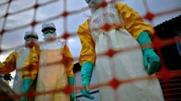 Francia detecta el primer caso de ébola fuera de África Francia detecta el primer caso de ébola fuera de África