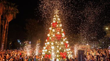 La ciudad capital encendió su arbolito