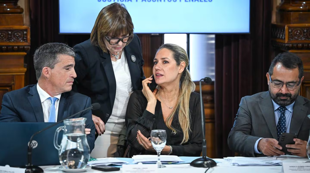 El Senado postergó el tratamiento del pliego de la jueza que provocó el cruce entre Bullrich y el Gobierno