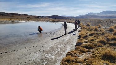 El Gobierno pidió a las litíferas que busquen otras alternativas al Río Los Patos