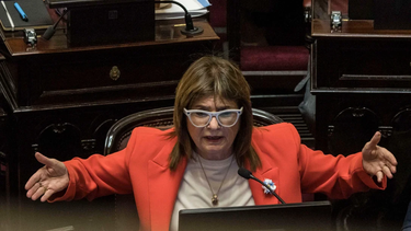 patricia bullrich anuncio el dictamen del senado por el nuevo regimen penal juvenil